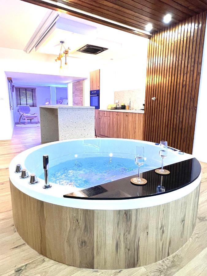 Apartment Le Zen - Sauna - Balneo - Sparoom Sarreguemines